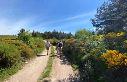 L'Eden des Cévennes - Foto 51