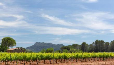 Studio Vu sur l'O2 Là - Foto 5