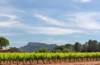 Studio Vu sur l'O2 Là - Foto 5