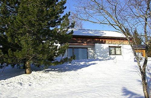 Ferienhaus Gamssteige im Feriendorf Reichenbach G16 - Foto 9