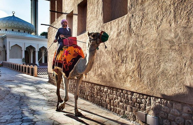 Dubai Modern & Classic City Tour - Photo 19