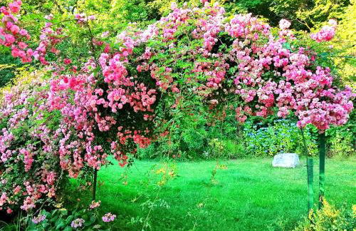 Domaine du Château de Briquedalles - Foto 6
