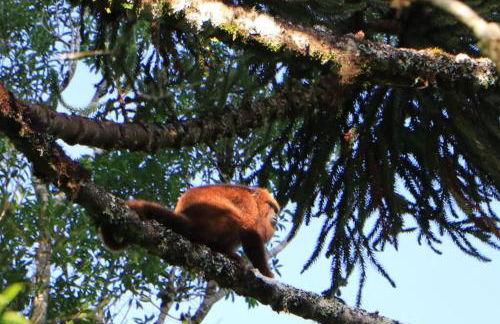Blue House em Condomínio Fechado - Foto 20