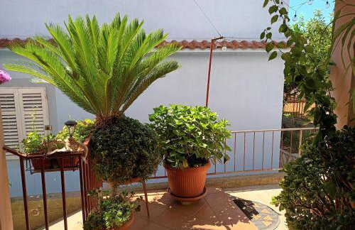 Apartman Nada - Foto 15