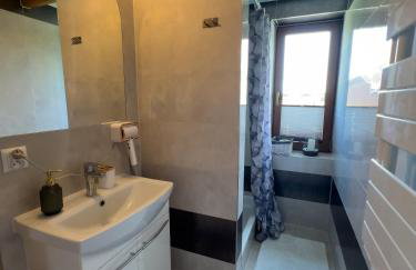 Pensjonat Dzianiszówka - Basen Jacuzzi Sauna - Foto 63