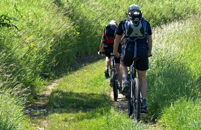 Charming Red Farmhouse Near Forsheda - Photo 6