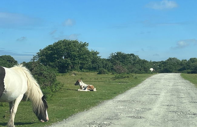 Farmhouse Annexe With Home-cooked Breakfast - Foto 10