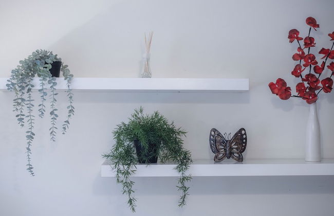 Sea Breeze Apt 2 - 2 Bed - Horton Beach - Photo 16