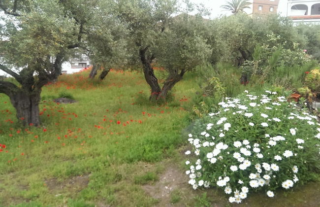 Apartamento Tía Antonia - Photo 19