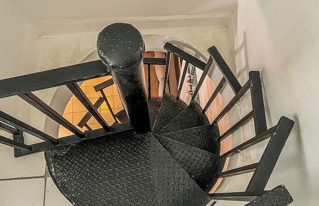 Gladiolas 1102 - Foto 5