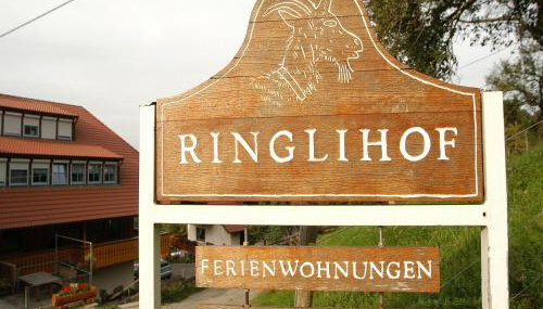 Ringlihof - Foto 4