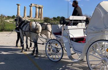 IRIS' Garden Retreat - Foto 71