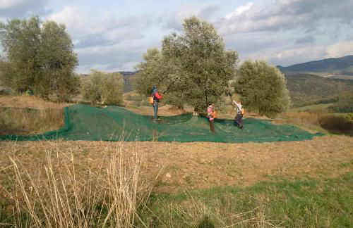 Agriturismo Podere del Vescovo - Foto 30