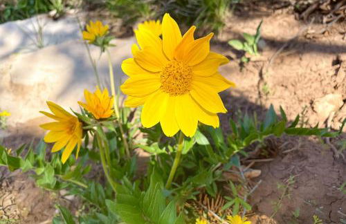 Reduced Nightly Rates! Park City Cabin, Hot Tub, Fire Pit - Sleeps 14 - Photo 34