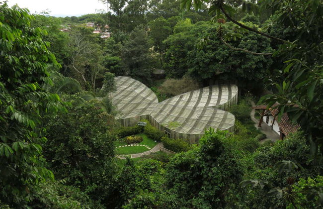 Excursão ao Jardim Botânico do Quindío - Photo 2