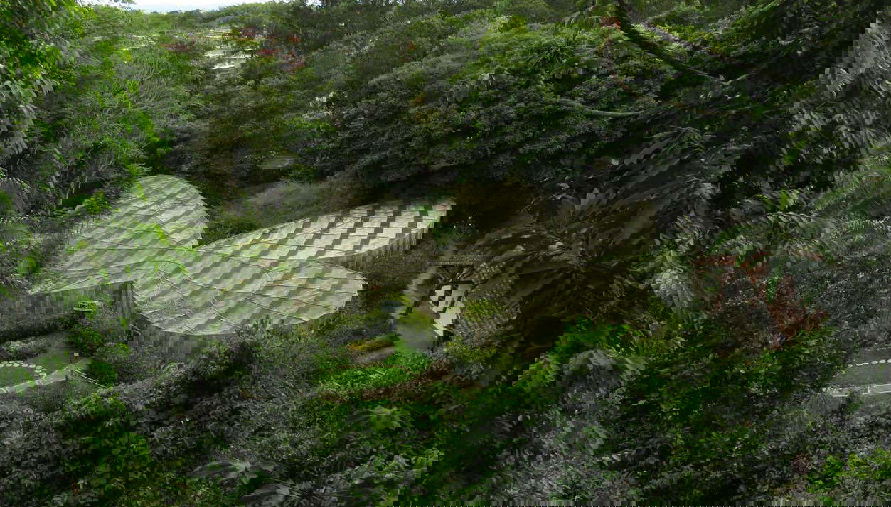 Botanical Garden of Quindío Visit - Foto 1