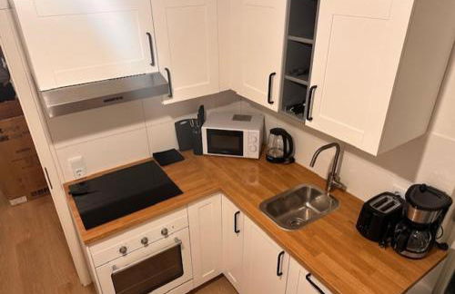 2 Zimmer Appartment für 3 Personen mit Küche und Duschbad - Foto 9