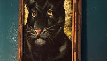 Charming Unique Themed Victorian Elegance - Foto 4