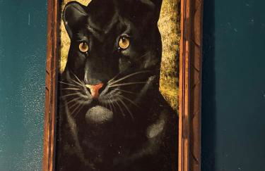 Charming Unique Themed Victorian Elegance - Foto 4