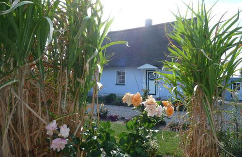 Ferienhäuser Salzhaff-Romantik - Foto 37