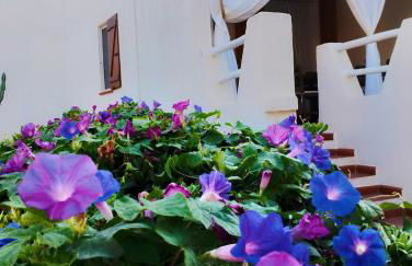 Villa Anna 300 m dal mare - Foto 12