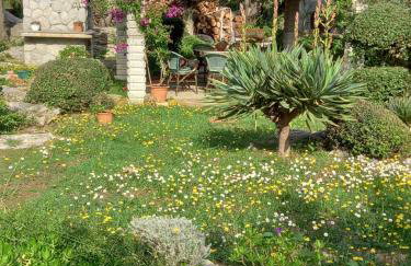 Apartments Makaus - Photo 25