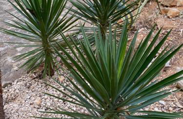 Casa Luis - Javea - Spanien - Foto 31