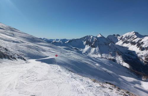 Les écureuils du Méale - Photo 16