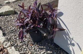 Holiday Home Tor der Berge - Hütte Wolf by Interhome - Foto 52