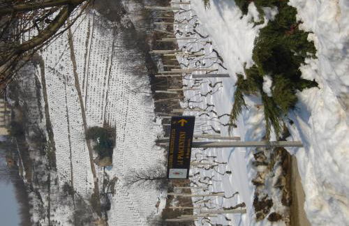 Agriturismo Ai Piacentini - Photo 19