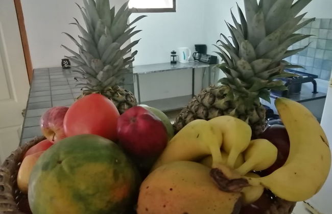 Las Quintas Casas para Vacacionar - Photo 32