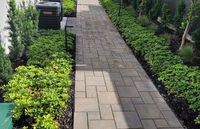 Peachview Suites - Foto 34