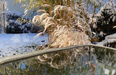 Pia's Nature Retreat - Foto 100