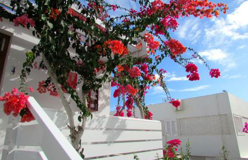 Apartamentos El Capricho - Foto 5