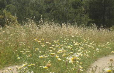 Stan&Family - Foto 27