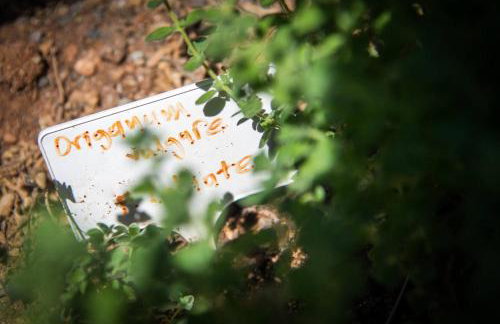 Agrilos Sea View House - Foto 32