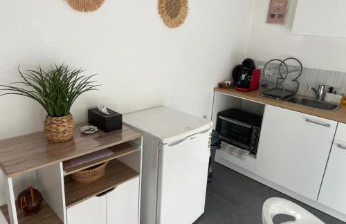 Studio Leman Ciel avec parking privé gratuit - Foto 10