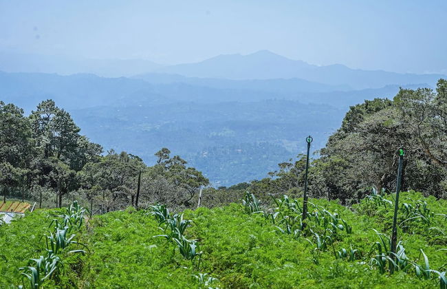Clouds 1939 By Wimsons - Photo 37