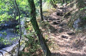 Casa Ermida - Photo 15