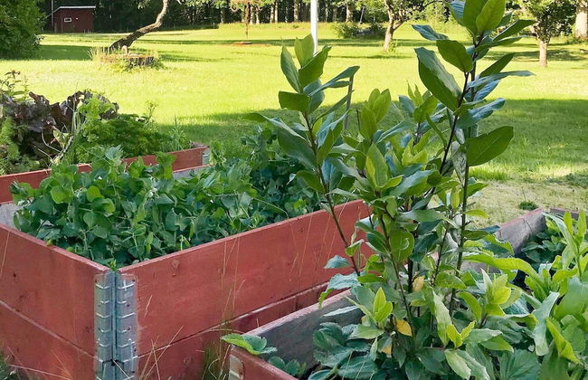 6 Person Holiday Home in Bralanda-by Traum - Foto 28