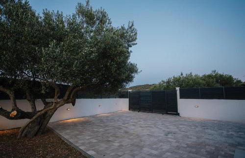 Villa Oliva - Photo 54