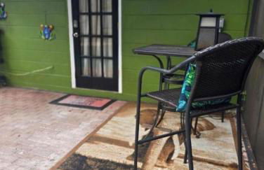 Jungle Oasis By Busch Gardens USF and Amphitheater - Foto 26