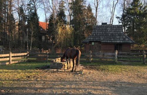 Domek wakacyjny Koliba - Foto 31