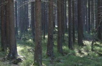 Holiday Home Exklusives Ferienhaus mit Terrasse und Garten by Interhome - Foto 29