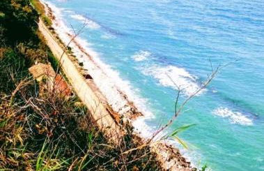 Agrumeto Costa dei Trabocchi - Foto 17