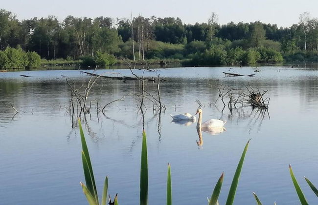 Cozy, Wooden Chalet With Deck, Near Durbuy - Foto 34