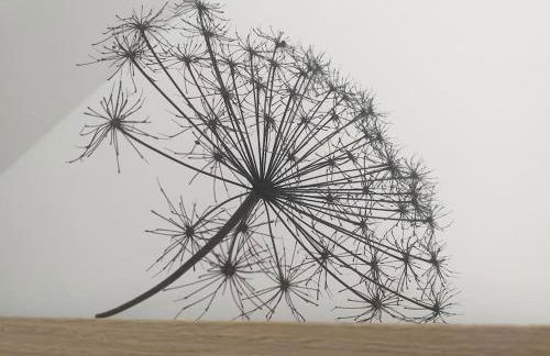 Gîte Le Mouton Blanc***** Héas Gavarnie-Gèdre - Foto 70