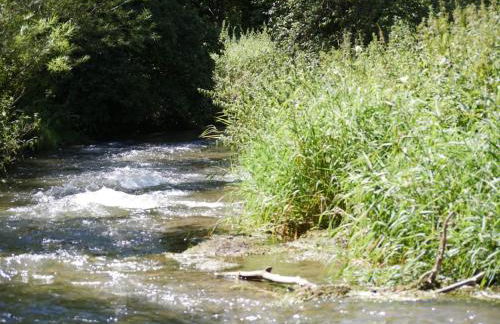 Ferienhaus Eichhölzle - Photo 26