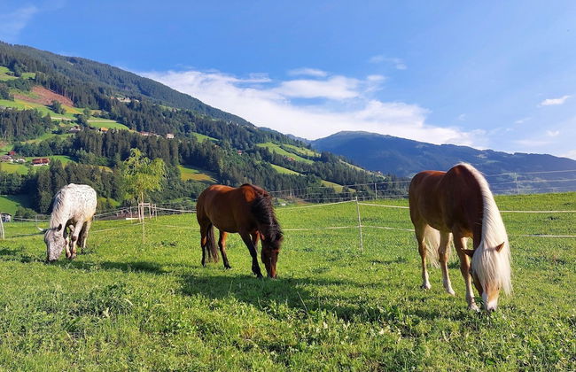 Beautiful Holiday Home in Mayrhofen - Foto 38