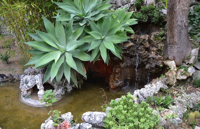 Villa Azur - Foto 51